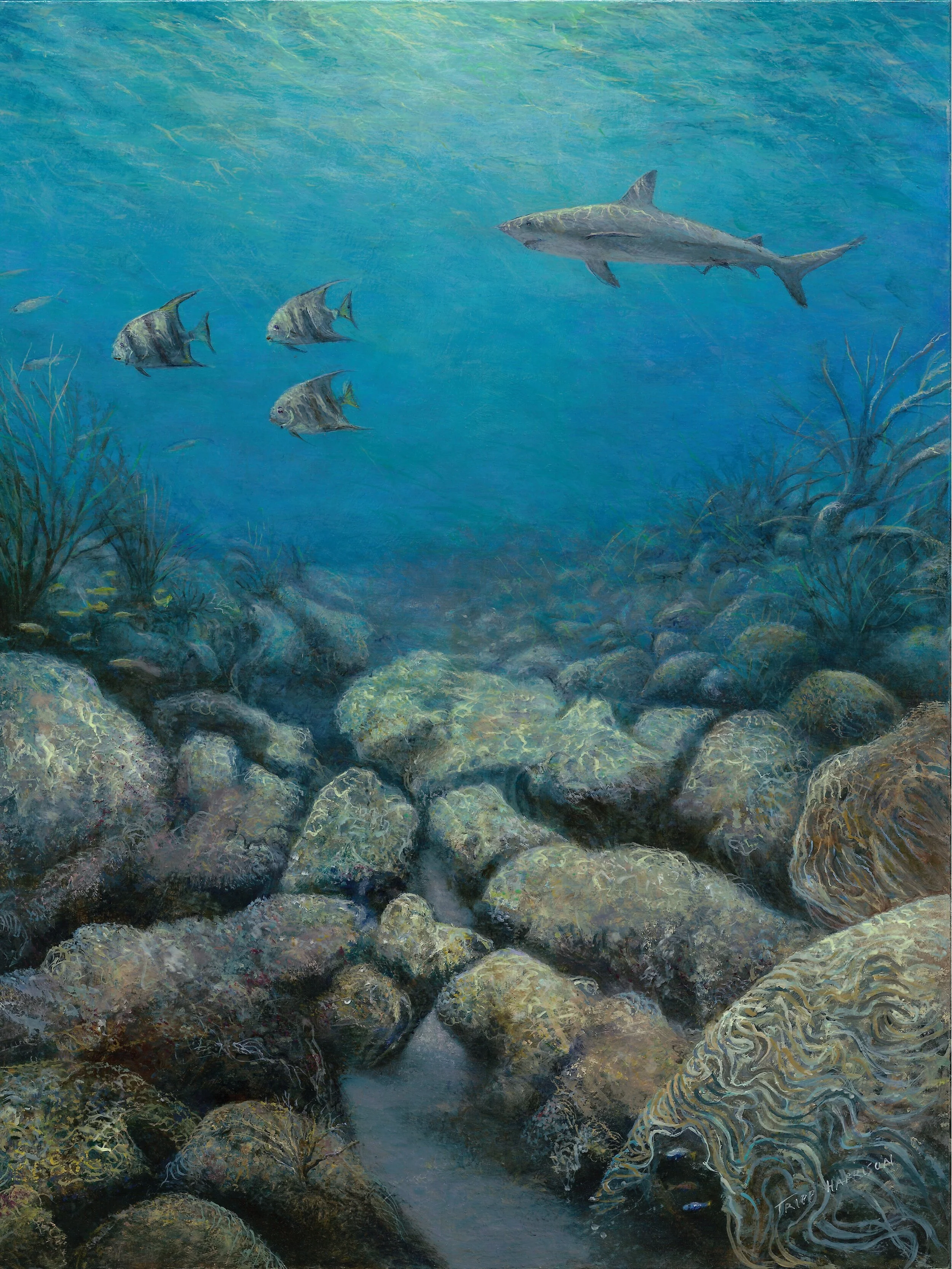 Endless Summer — Tripp Harrison Gallery